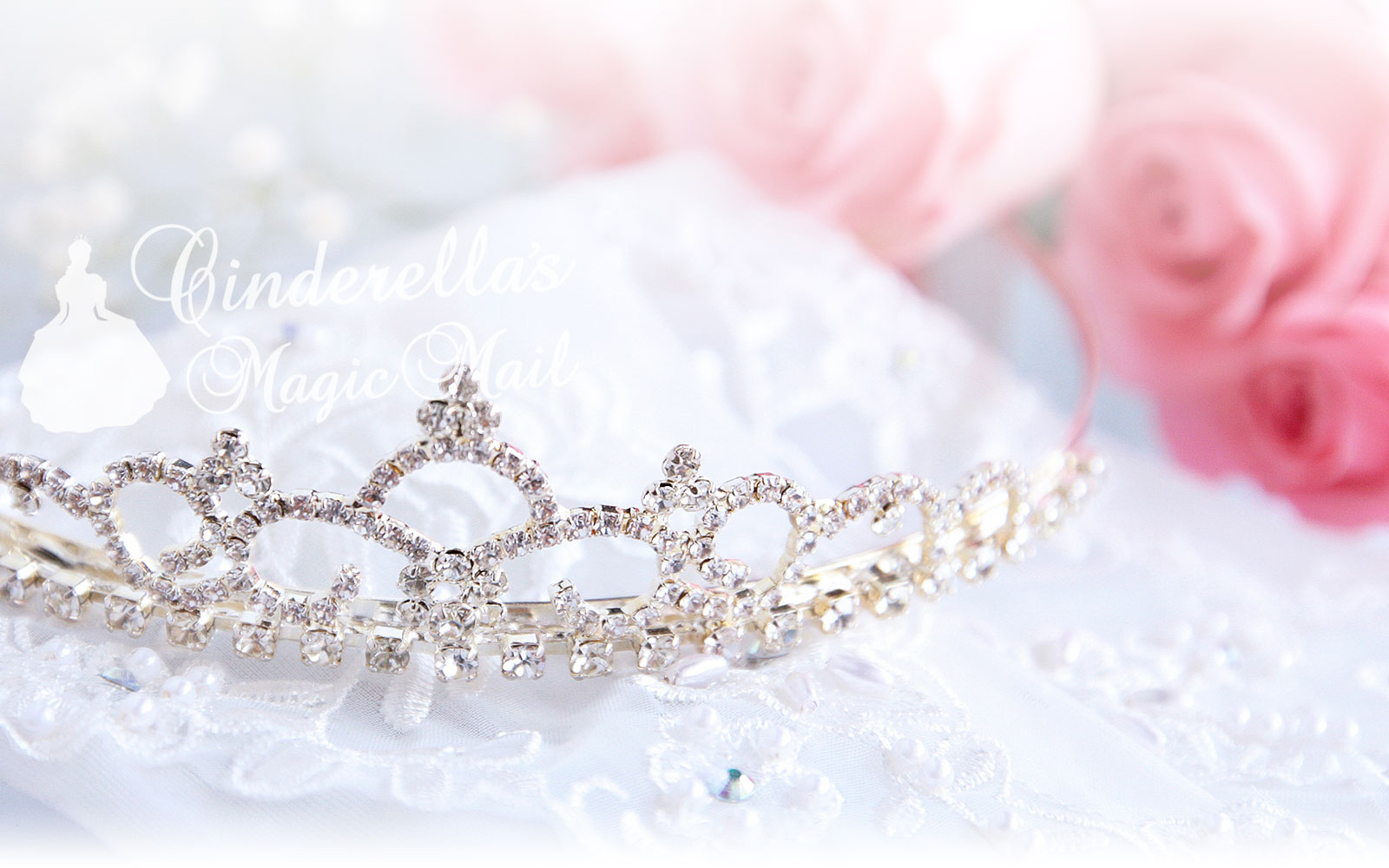 副収入で毎月30万稼いでお姫様みたいな夢の生活をおくる様子1