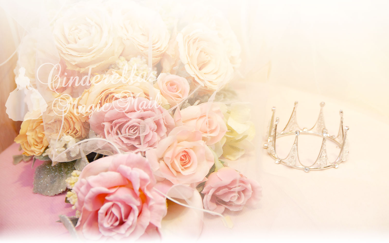 副収入で毎月30万稼いでお姫様みたいな夢の生活をおくる様子3